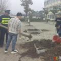 植綠護綠正當時，校園添彩育新苗 ——隨縣萬和鎮(zhèn)義陽小學開展生態(tài)實踐活動