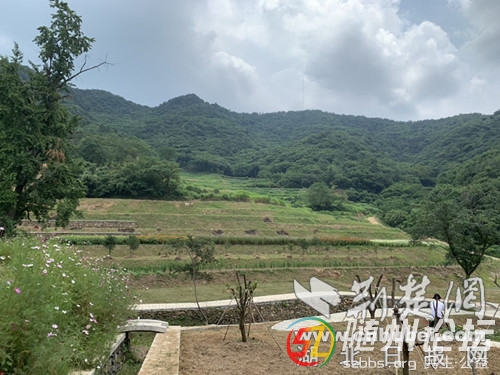 隨縣柳林鎮(zhèn)變荒山為旅游景點 走進明月谷精品名宿