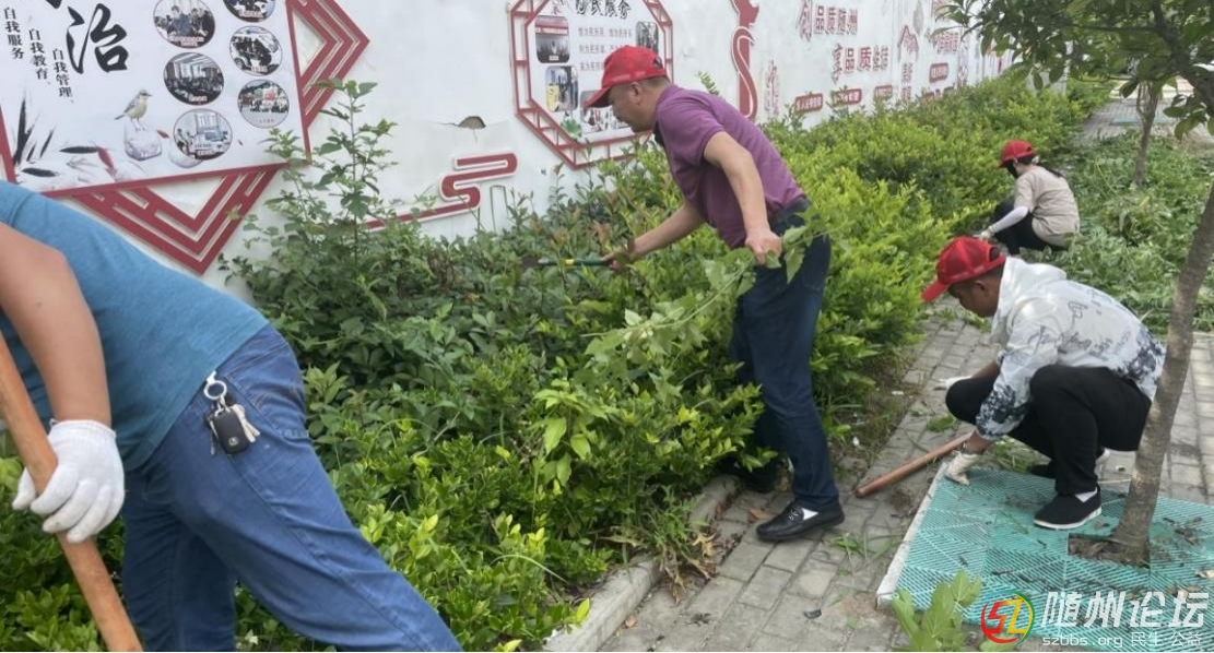 南郊街道柳樹淌社區(qū)開展環(huán)境衛(wèi)生整治行動